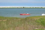 Two people kayaking along with nature in Salt Run; Anastasia State Parks inter-coastal waterway.
