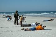 Photographers and birders patiently waiting for the perfect picture.