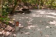 View into sandy site one showing site post number, picnic table, electric hookup and lantern post under shady maritime hammock in Anastasia State Park.