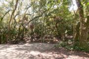 Side view of sandy site one showing live oak tree, picnic table, fire ring, electric hookup and lantern post nestled under shady maritime hammock in Anastasia State Park.