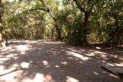Rear view of sandy site two showing edge of picnic table, fire ring nestled amongst the shady live oak and maritime hammock in Anastasia State Park.