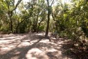 Side view of sandy site two showing live oak trees, picnic table and electric hookup under shady maritime hammock in Anastasia State Park.