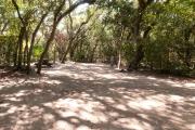View into sandy site three showing picnic table, electric hookup, lantern post and wooden railings under shady maritime hammock in Anastasia State Park.