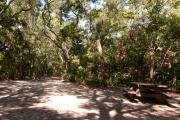 Picnic table nestled under the shady maritime hammock on site fourâs sandy pad in Anastasia State Park.