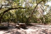Picnic table, fire ring and electric hookup nestled under the shady maritime hammock on site fiveâs sandy pad in Anastasia State Park.