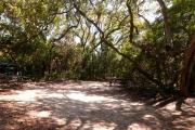View into sandy site five showing picnic table under shady maritime hammock in Anastasia State Park.