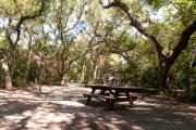 Rear view showing picnic table, fire ring, water and electric hookup nestled under the shady maritime hammock on site sixâs sandy pad in Anastasia State Park.
