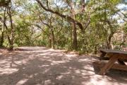 Picnic table nestled under the shady maritime hammock on site sevenâs sandy pad in Anastasia State Park.