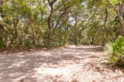 Side view of sandy site seven showing picnic table and fire ring nestled under shady maritime hammock in Anastasia State Park.