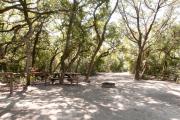 Picnic table, fire ring and wooden rails nestled under the shady maritime hammock on site nineâs sandy pad in Anastasia State Park.