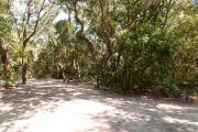 View into sandy site nine showing picnic table, electric hookup and wooden railings under shady maritime hammock in Anastasia State Park.