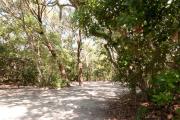 Side view of sandy site nine showing wooden railings nestled under shady maritime hammock in Anastasia State Park.