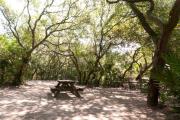 Picnic table, fire ring and lantern post nestled under the shady maritime hammock on site elevenâs sandy pad in Anastasia State Park.