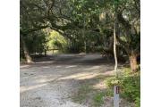 Rear view of sandy site twelve showing edge of picnic table, lantern post nestled amongst the shady live oak and maritime hammock in Anastasia State Park.