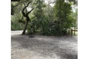 View of sandy site twelve showing live oak trees, picnic table and fire ring under shady maritime hammock in Anastasia State Park.
