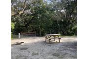 Side view of sandy site thirteen showing live oak trees nestled under shady maritime hammock in Anastasia State Park.