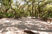 Rear view of sandy site fourteen showing edge of fire pit, picnic table, electric hookup and wooden railings nestled amongst the shady live oak and maritime hammock in Anastasia State Park.