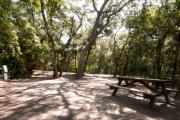 Picnic table and electric hookup nestled under the shady maritime hammock on site fifteenâs sandy pad in Anastasia State Park.