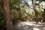 View into sandy site fifteen showing picnic table and electric hookup under shady live oak and maritime hammock in Anastasia State Park.