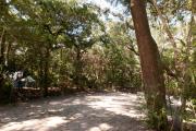 Side view of sandy site fifteen showing live oak tree, picnic table and wooden railings nestled under shady maritime hammock in Anastasia State Park.