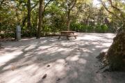 Picnic table and electric hookup nestled under the shady maritime hammock on site sixteenâs sandy pad in Anastasia State Park.