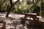 Picnic table and fire ring nestled under the shady live oak trees and maritime hammock on site seventeenâs sandy pad in Anastasia State Park.