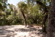 Side view of sandy site seventeen showing picnic table, fire ring and wooden railings nestled under shady maritime hammock in Anastasia State Park.