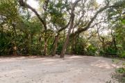 View of sandy site eighteen showing live oak trees, picnic table, fire ring and wooden railings under shady maritime hammock in Anastasia State Park.