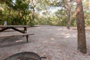 Rear view of sandy site 20 showing edge of fire ring, picnic table and electric hookup nestled amongst the shady live oak and maritime hammock in Anastasia State Park.