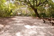 Rear view of sandy site 136 showing picnic table nestled under the shady live oak trees and maritime hammock in Anastasia State Park.