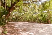 Side view of sandy site 136 showing picnic table and electric and water hookups with live oak trees nestled under shady maritime hammock in Anastasia State Park.