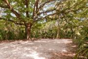 Frontal view of sandy site 136 showing picnic table and electric hookup with live oak trees nestled under shady maritime hammock in Anastasia State Park.