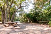 Picnic table and wooden railing nestled under the shady maritime hammock on site 23âs sandy pad in Anastasia State Park.