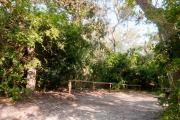 Side view of sandy site 23 showing wooden railings and live oak trees nestled under shady maritime hammock in Anastasia State Park.