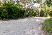Side view of sandy site 24 showing picnic table, wooden railings and live oak trees nestled under shady maritime hammock in Anastasia State Park.