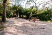 Electric hookup, picnic table and fire ring nestled under the shady maritime hammock on site 25âs sandy pad in Anastasia State Park.