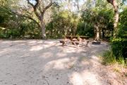 Side view of sandy site 25 showing picnic table, fire ring and live oak trees nestled under shady maritime hammock in Anastasia State Park.
