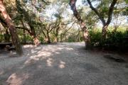 Picnic table and fire ring nestled under the shady maritime hammock on site 26âs sandy pad in Anastasia State Park.