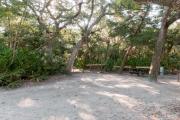 Side view of sandy site 26 showing picnic table, wooden railings and live oak trees nestled under shady maritime hammock in Anastasia State Park.