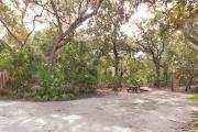 Frontal view of sandy site 91 showing picnic table and fire ring nestled under the shady live oak trees and maritime hammock in Anastasia State Park.