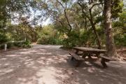 Rear view of sandy site 91 showing picnic table and electric hookup with live oak trees nestled under shady maritime hammock in Anastasia  State Park.