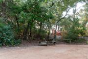 view of sandy site 92 showing picnic table and wooden railing with live oak trees nestled under shady maritime hammock in Anastasia  State Park