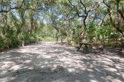 Rear view of sandy site 94 showing picnic table, electric hookup and wooden railing nestled under the shady live oak trees and maritime hammock in Anastasia State Park.