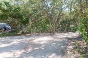 Side view of sandy site 94 showing picnic table and wooden railing with live oak trees nestled under shady maritime hammock in Anastasia  State Park.