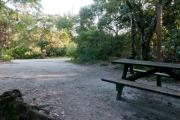 Rear view of sandy site 95 showing picnic table and lantern post nestled under the shady live oak trees and maritime hammock in Anastasia State Park