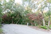 Side view of sandy site 95 showing picnic table, fire ring and electric and water hookups with live oak trees nestled under shady maritime hammock in Anastasia  State Park