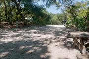 Rear view of sandy site 96 showing picnic table and electric hookup nestled under the shady live oak trees and maritime hammock in Anastasia State Park.