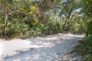 Side view of sandy site 96 showing picnic table and wooden railing with live oak trees nestled under shady maritime hammock in Anastasia  State Park.