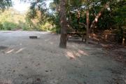 Rear view of sandy site 98 showing picnic table, fire ring and lantern post nestled under the shady live oak trees and maritime hammock in Anastasia State Park.