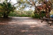 Rear view of sandy site 102 showing picnic table and electric and water hookups nestled under the shady live oak trees and maritime hammock in Anastasia State Park.
